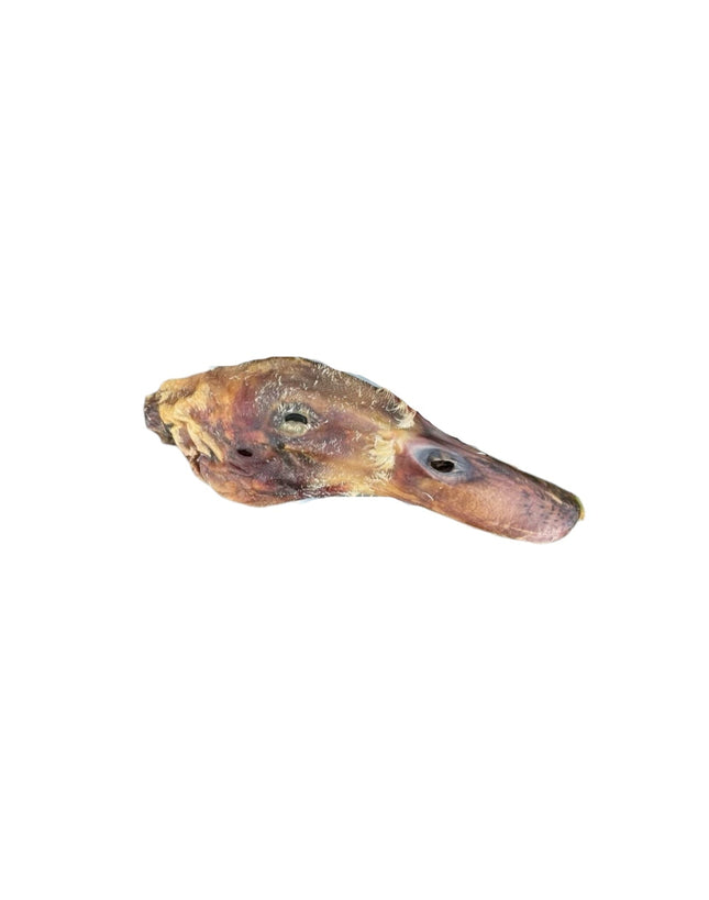 Dehydrated Duck Head