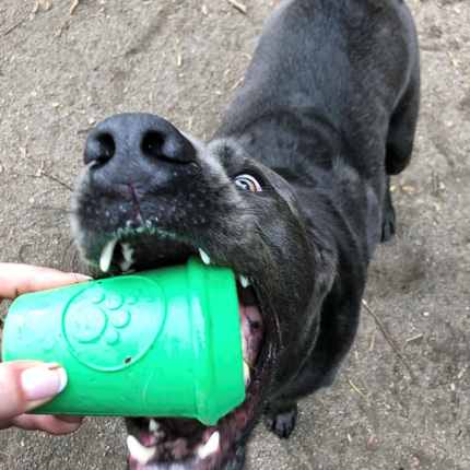 Coffee Cup eDispener Durable Rubber Chew Toy and Treat Dispenser