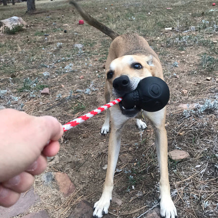 USA-K9 Magnum Skull Durable Rubber Chew Toy, Treat Dispenser, Reward Toy, Tug Toy, and Retrieving Toy - Black Magnum