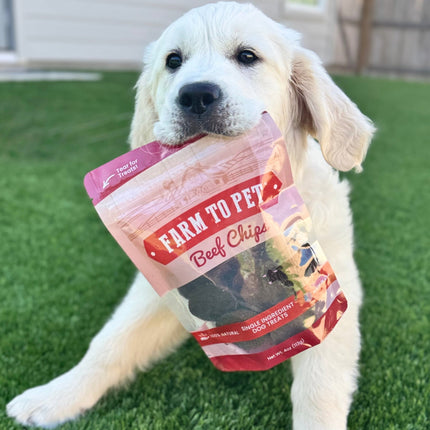 Beef Chips Dog Treats | Single-ingredient Healthy Treats for Dogs
