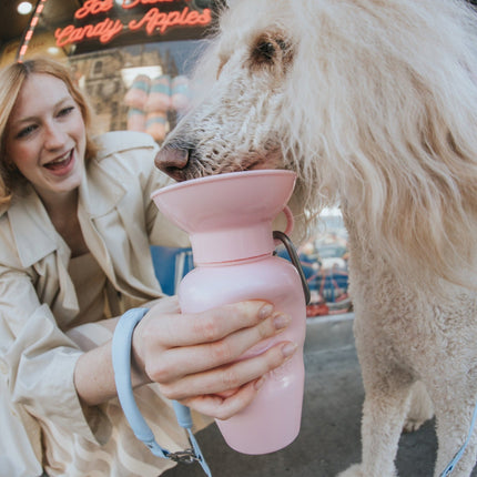 Classic Dog Travel Bottle