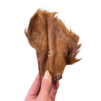 Dehydrated Beef Ears with Fur
