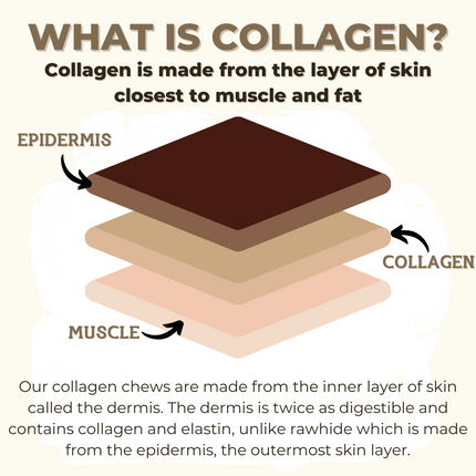5-6 Inch Small Collagen Stick