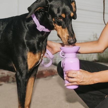 Classic Dog Travel Bottle