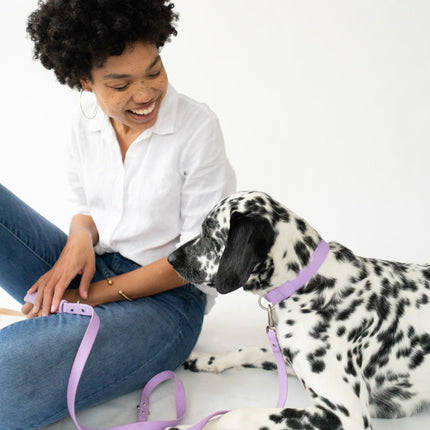 Dog Leash