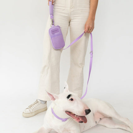 Walk Bag + Dog Leash