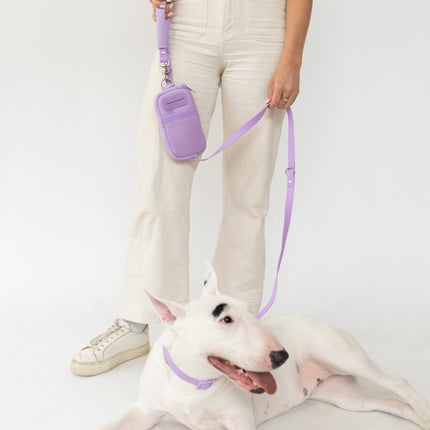 Walk Bag + Small Dog Leash