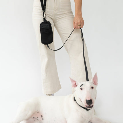 Walk Bag + Dog Leash