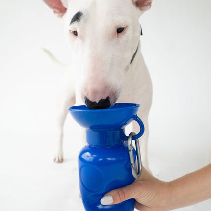 Classic Dog Travel Bottle