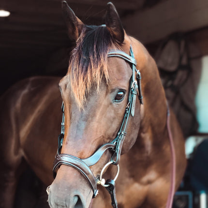 Replacement Noseband of ExionPro Anatomical Combined Flash Bridle with Reins