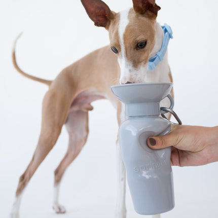 Classic Dog Travel Bottle