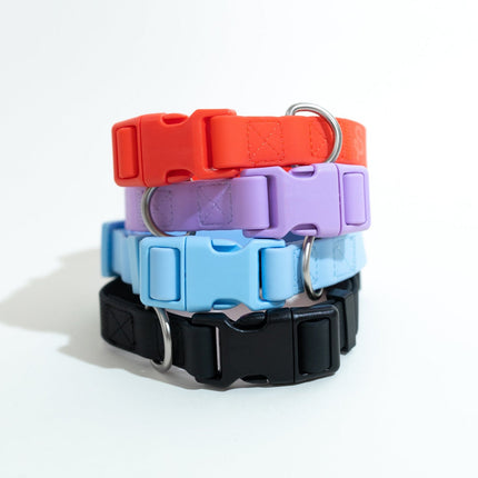 Small Dog Collar