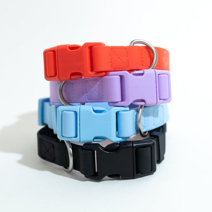 Medium Dog Collar