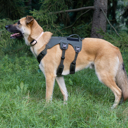 Outlander Adjustable Dog Harness