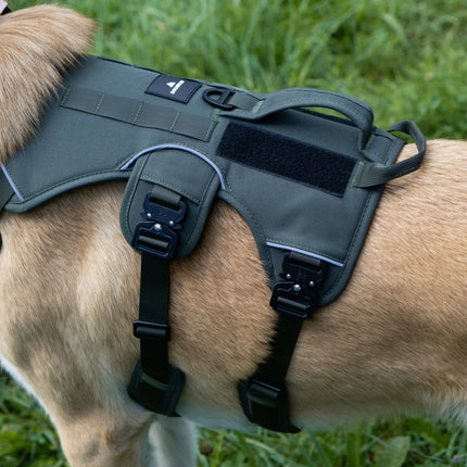 Outlander Adjustable Dog Harness