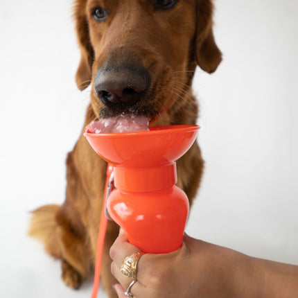 Classic Dog Travel Bottle