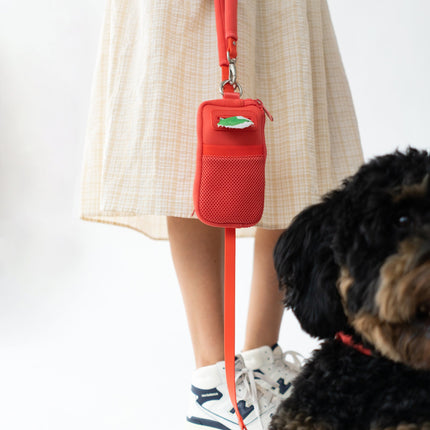 Walk Bag + Small Dog Leash