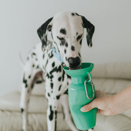 Classic Dog Travel Bottle