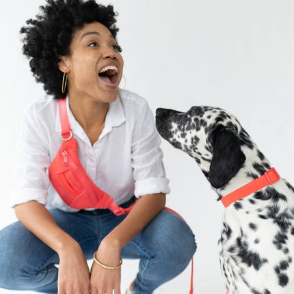 Hands-Free Sling Bag + Dog Leash