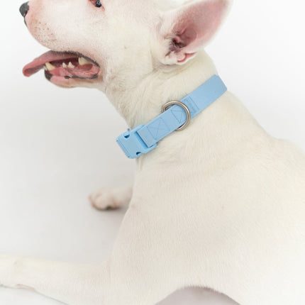 Large Dog Collar