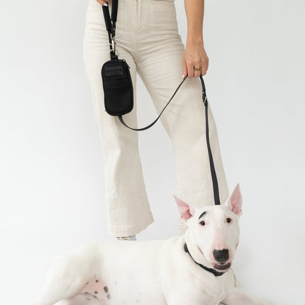 Walk Bag + Small Dog Leash