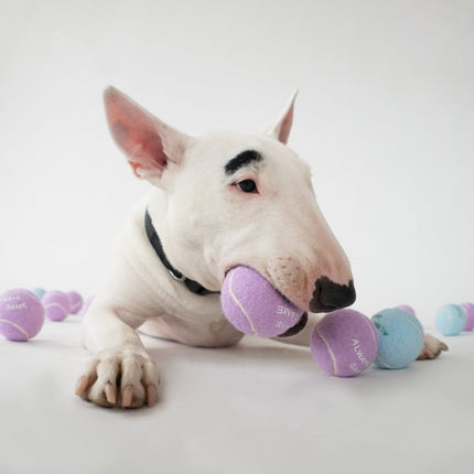 Tennis Balls Pack of 4
