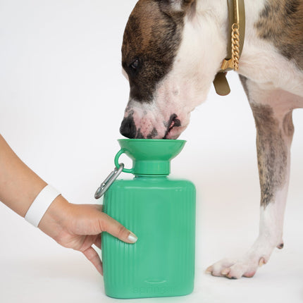 Growler Dog Travel Bottle