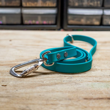 Eco BioThane® Dog Leash | The Good Pet Collective