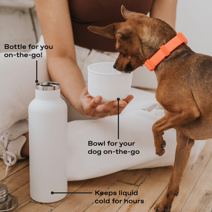 Dog & Me Insulated Water Bottle