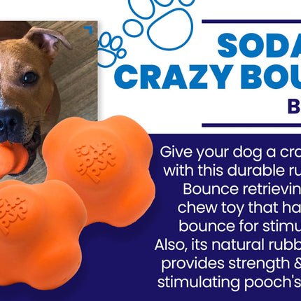 Crazy Bounce Ultra Durable Rubber Chew & Retrieving Toy