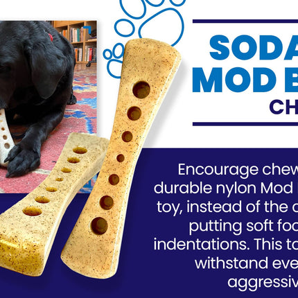 MOD Bone eChew Ultra Durable Nylon Dog Chew Toy