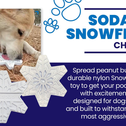 Snowflake eChew Ultra Durable Nylon Dog Chew Toy