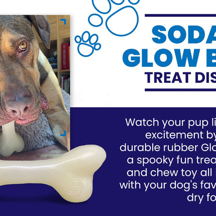 PUP-X Synthetic Rubber Chewing & Floating Bone Toy - Glow in the Dark