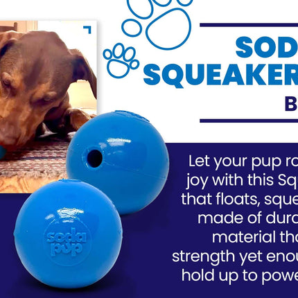 Squeak Ball Ultra Durable PUP-X Squeaking, Chewing, Floating & Retrieving Ball