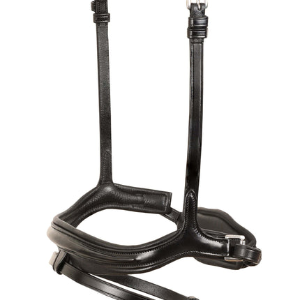 ExionPro 'Ursa' Anatomic Dressage Bridle With Reins