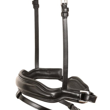 ExionPro 'Leo' Classic Dressage Bridle with Reins
