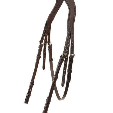 ExionPro 'Leo' Classic Dressage Bridle with Reins