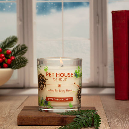 Evergreen Forest Candle