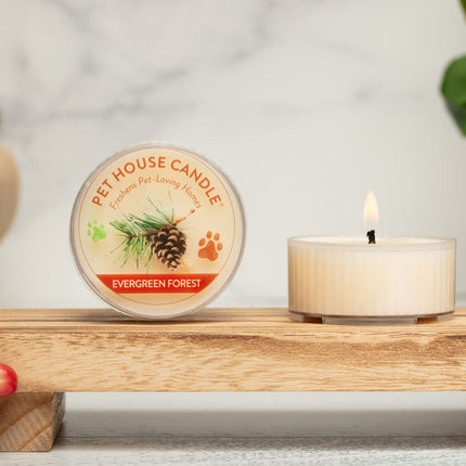Evergreen Forest Mini Candle