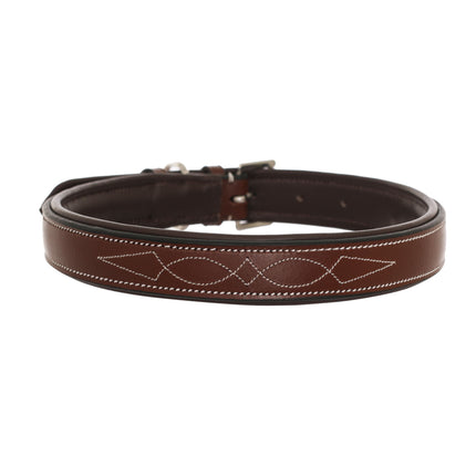 ExionPro Fancy Stitched Padded Leather Dog Collar - Brown Padding