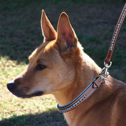 ExionPro Dark Blue Bling Dog Collar With Leash