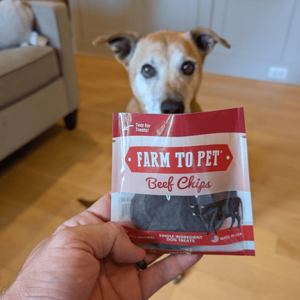 Beef Chips Snack Pack Bundles | Dog Treats for Training and Travel