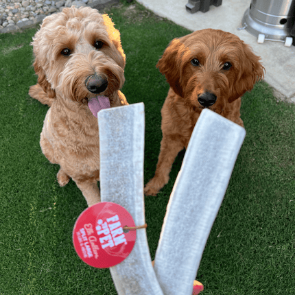Split Elk Antlers for Dogs | Organic Antler Dog Chews