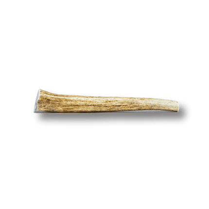 Whole Elk Antlers for Dogs | Long-lasting Antler Dog Chews