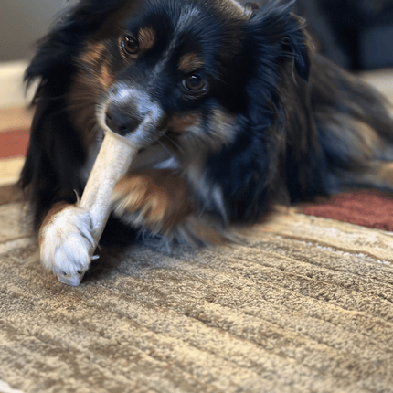 Split Elk Antlers for Dogs | Organic Antler Dog Chews