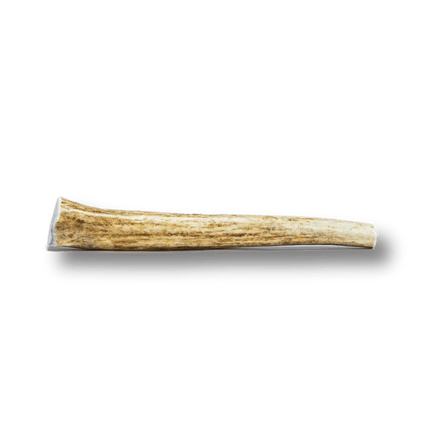 Whole Elk Antlers for Dogs | Long-lasting Antler Dog Chews