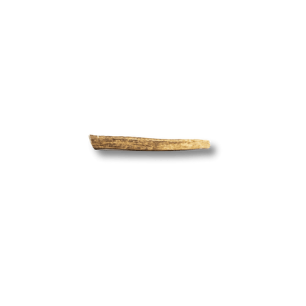 Whole Elk Antlers for Dogs | Long-lasting Antler Dog Chews