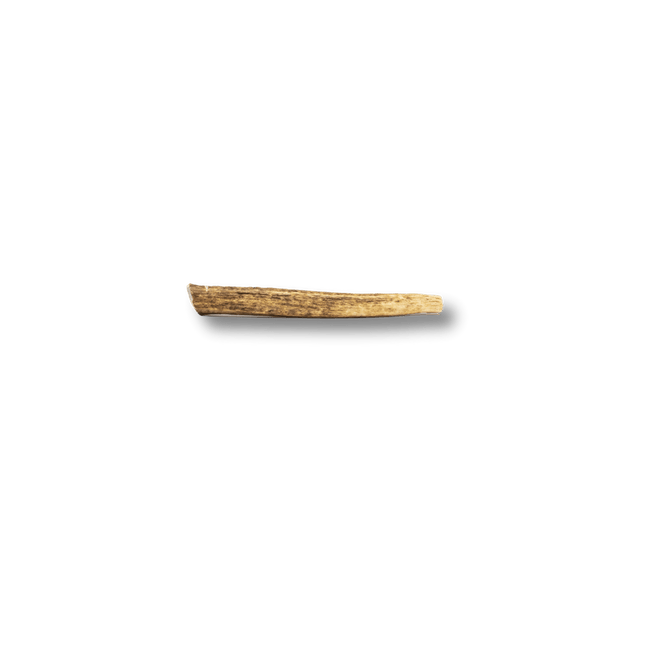 Whole Elk Antlers for Dogs | Long-lasting Antler Dog Chews