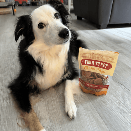 Chicken Chips for Dogs | All-natural Single-ingredient Dog Treats