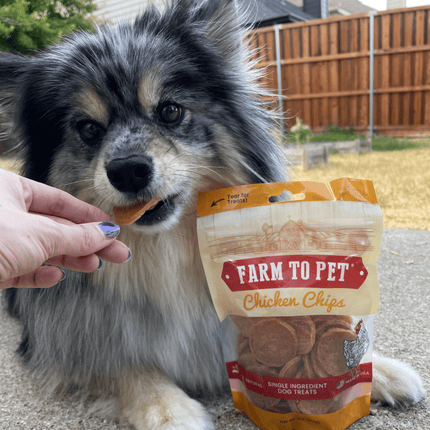 Chicken Chips for Dogs | All-natural Single-ingredient Dog Treats